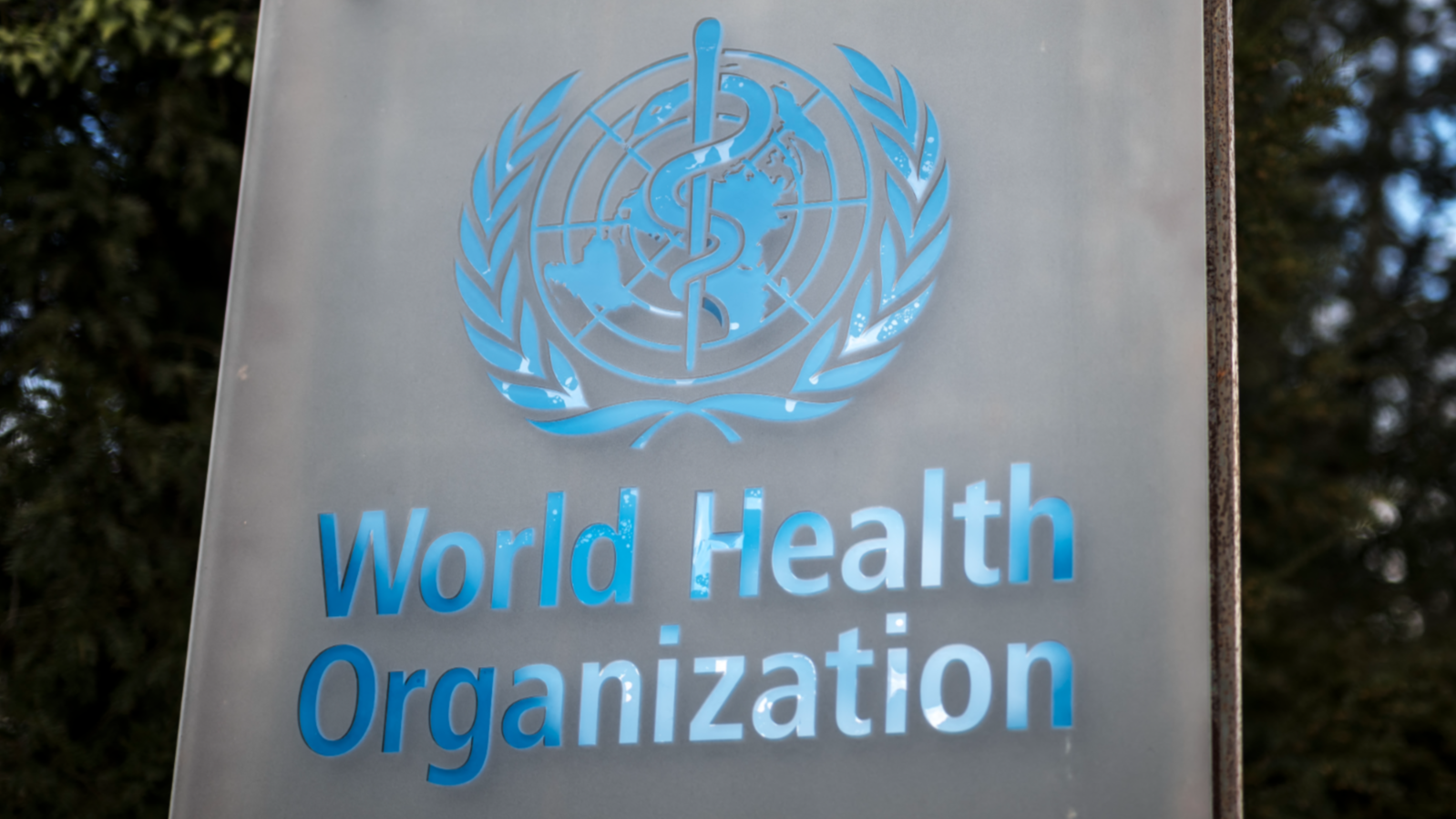 WHO Warns of Chikungunya Virus Spread Across Continents