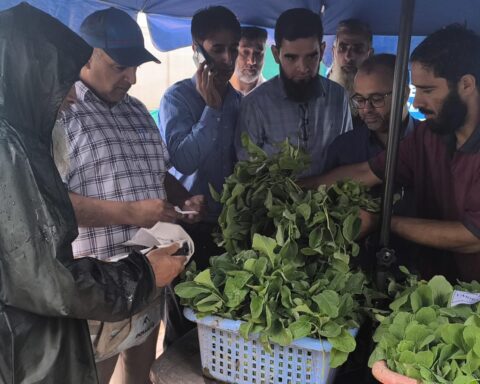 Latest 7 Director Agri. launches vegetable seedling distribution drive at Kitchen Garden Lalmandi Srinagar 1